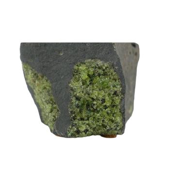 Peridotite in Basalt Specimen 