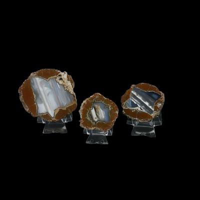 Polished Thunderegg Halves
