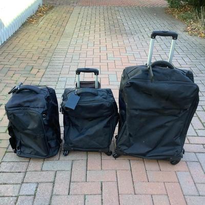 8569 Set of Three Lipault French Luggage Cases