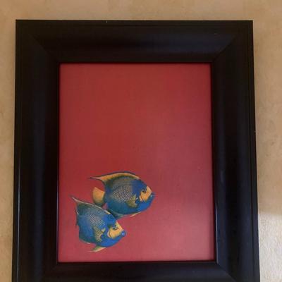 Framed fish print