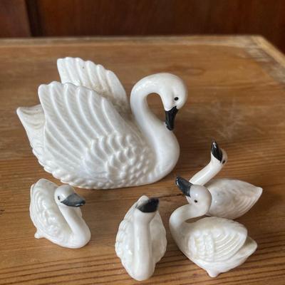 Miniature  swans