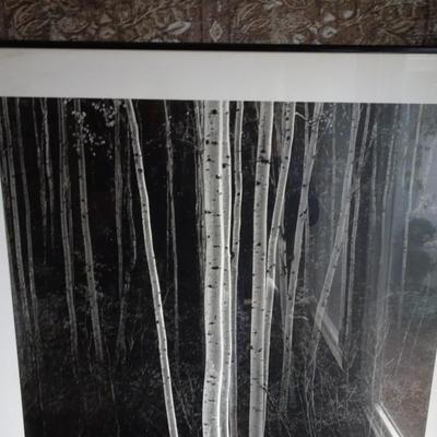 LOT 191. BLACK AND WHITE FRAMED PICTURE