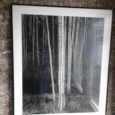 LOT 191. BLACK AND WHITE FRAMED PICTURE
