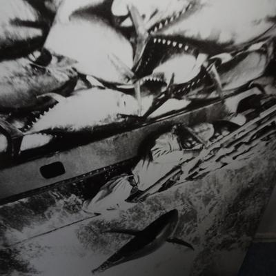 LOT 197. BLACK AND WHITE TUNA FISHING PHOTO ON FOAM BACKING