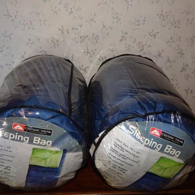 LOT 246.  TWO SLEEPING BAGS