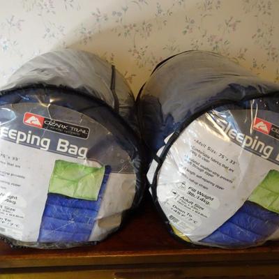 LOT 246.  TWO SLEEPING BAGS