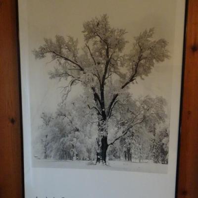 LOT 256. ANSEL ADAMS AUTHORIZED EDITION