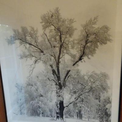 LOT 256. ANSEL ADAMS AUTHORIZED EDITION