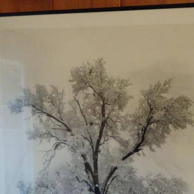 LOT 256. ANSEL ADAMS AUTHORIZED EDITION