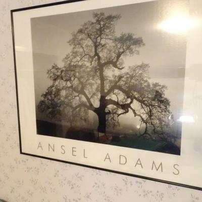 LOT 257  ANSEL ADAMS AUTHORIZED EDITION