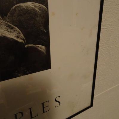 LOT 277  ANSEL ADAMS FRAMED PICTURE.