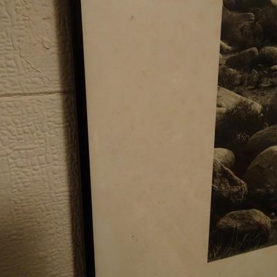 LOT 277  ANSEL ADAMS FRAMED PICTURE.