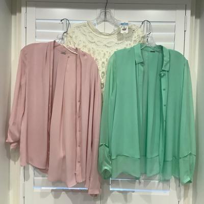 Lot 8600 Three Ladies Formal Blouses