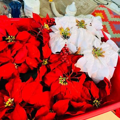 Tote of poinsettias