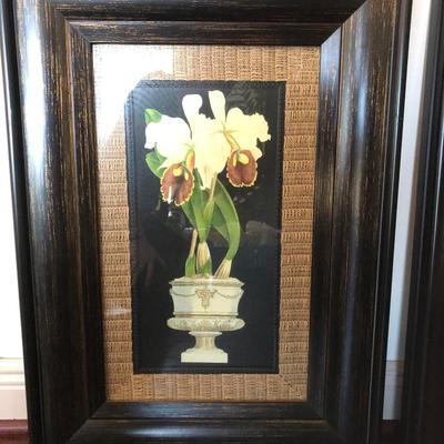 Lot 228  Pair of Framed Orchid Prints