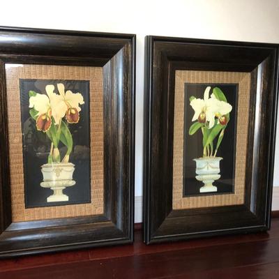 Lot 228  Pair of Framed Orchid Prints