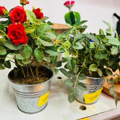 Lot of Pots & decor