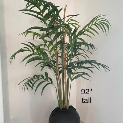 Lot 296. Silk Bamboo in Large Planter