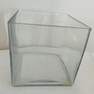 Glass Pitchers and Vases (DR-JM)