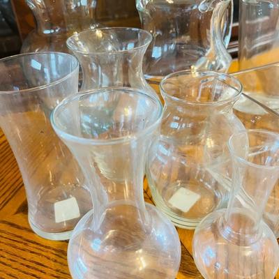 Glass Pitchers and Vases (DR-JM)