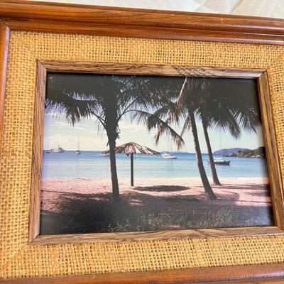 2 Small tropical pictures