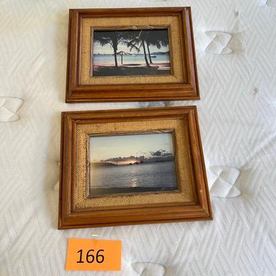 2 Small tropical pictures