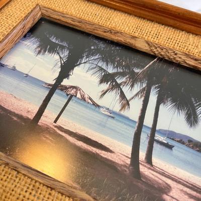 2 Small tropical pictures