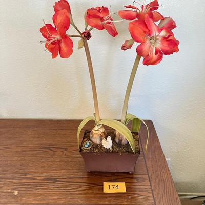 Amarilys Floral Arrangement