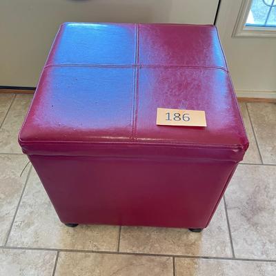 Red Vinyl Storage Box