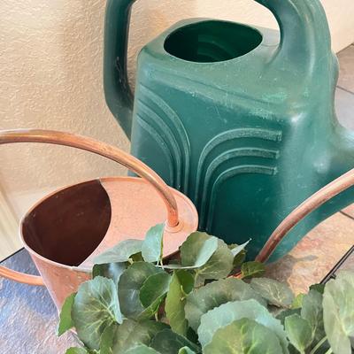 Watering can lot