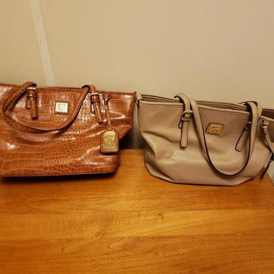Handbag and Purse Variety