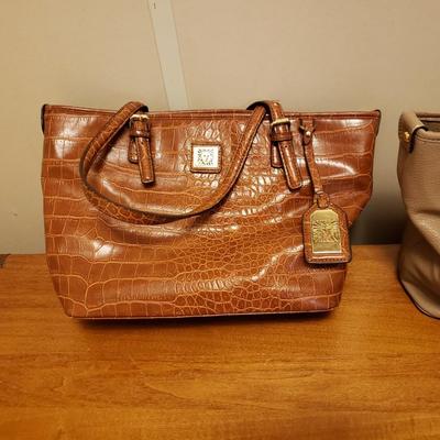 Handbag and Purse Variety