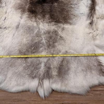 Reindeer Pelt