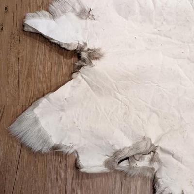 Reindeer Pelt