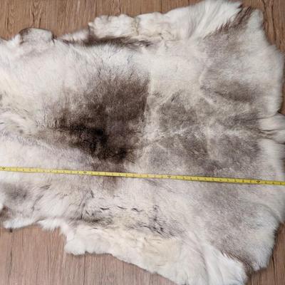 Reindeer Pelt