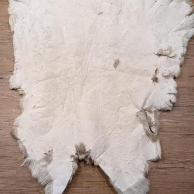 Reindeer Pelt