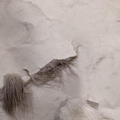 Reindeer Pelt