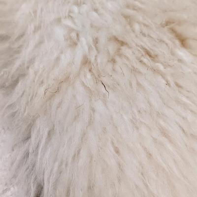 Gold Star New Zealand Sheep Skin Rug