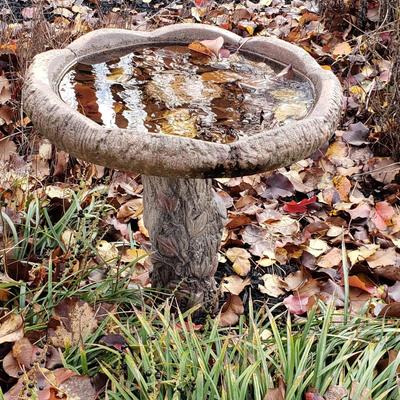 Bird Bath