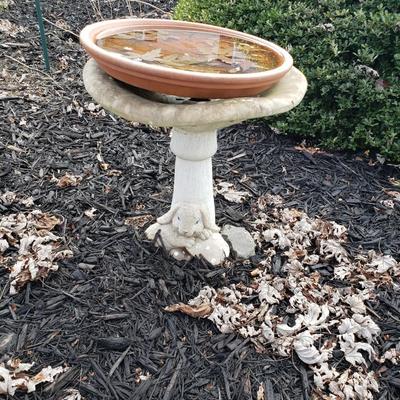 Bird Bath