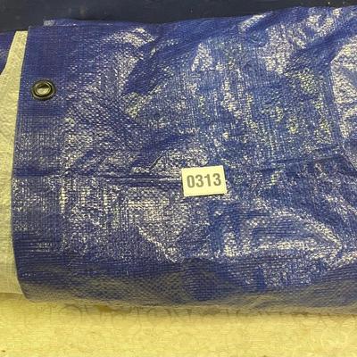 Blue Tarp