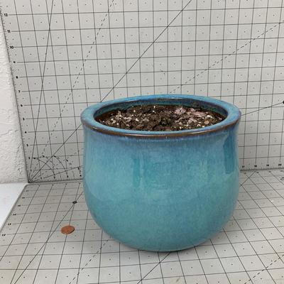 #104 Blue Planter Pot With Soil 