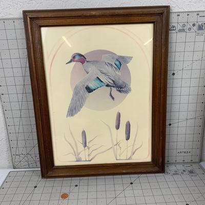 #111 Vintage Framed Duck Print (1 of 2)