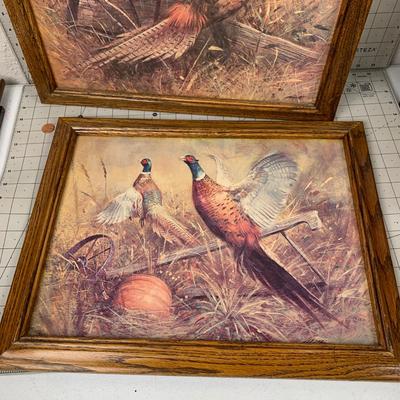 #114 Two Framed Bird Prints