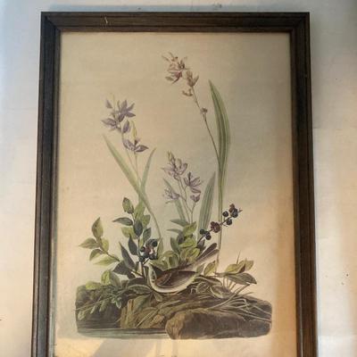 Lot of wall decor