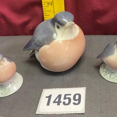 Bird Family