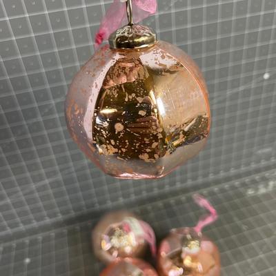 5 Pink Mercury Tree Bulbs