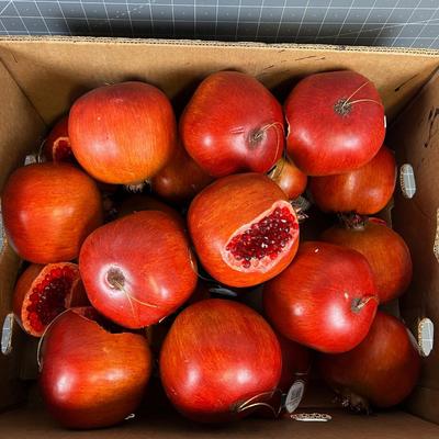 Case of Pomegranate, Authentic Looking! 