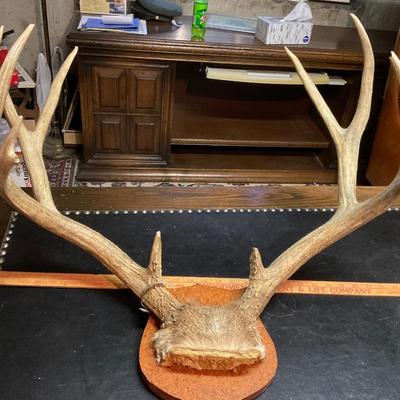 Deer Rack (1956).