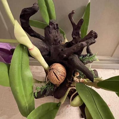 Realistic Dendrobium Orchid